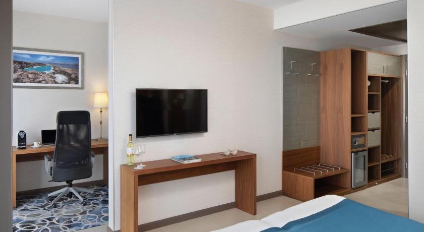Image of Large Business Double or Twin Room with Side View 4