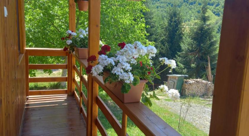 Casa Geanina photo