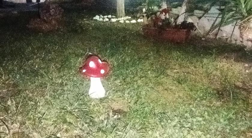 Sofis Garden photo