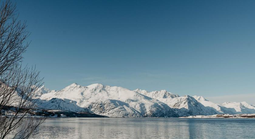 Aurora Fjord Cabins photo
