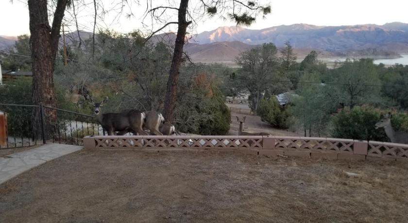 アップフォードハイツ (CA) 3BR Panoramic Lake View, Sequoia Forest, Kern County 4つ星 宿泊施設 客室