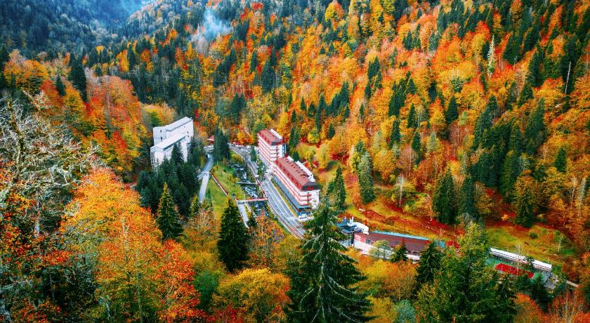 Sairme Hotels & Resorts photo