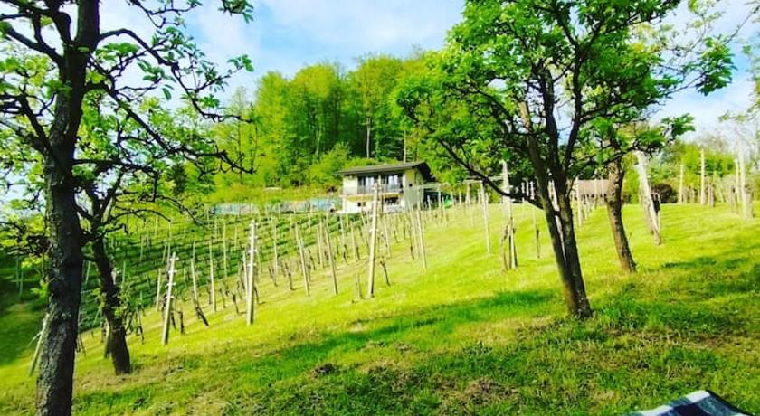 Mini hiska v objemu vinograda