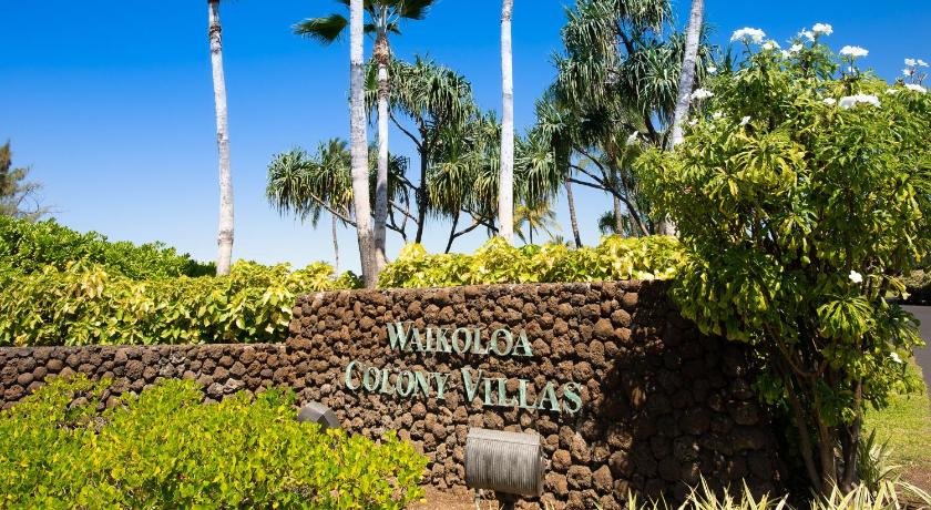 Waikoloa Colony Villas #1603 photo