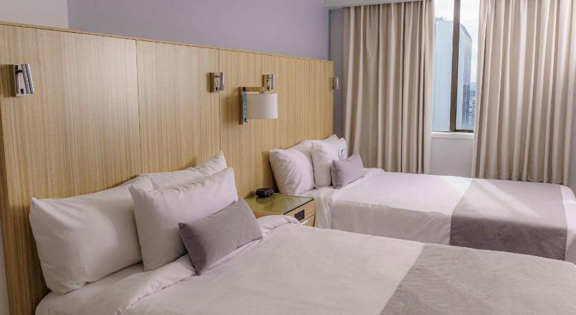 Image of One-Bedroom Suite 10