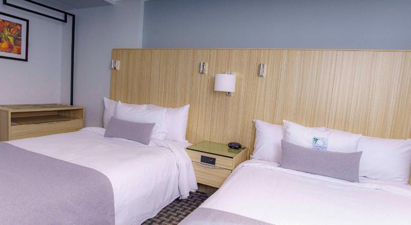 Image of One-Bedroom Suite 17