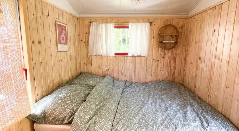 Camping Rogowo
