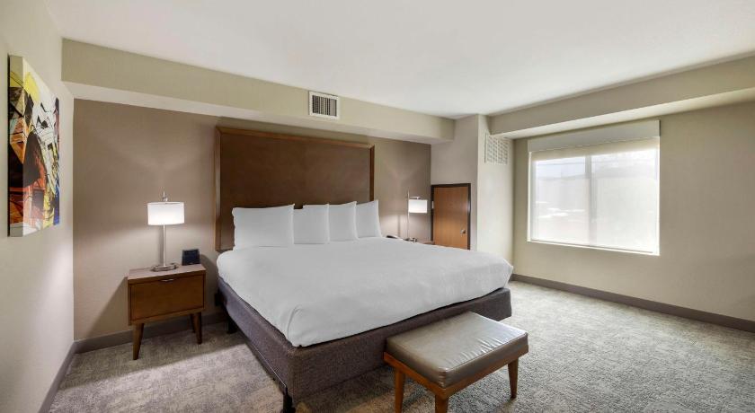 Image of Suite - 1 King Bed, Nonsmoking, Separate Bedroom, Sofabed 1