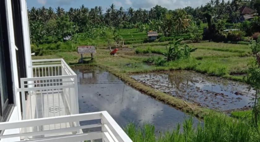 巴厘 Limun guesthouse 4星级 酒店 景观