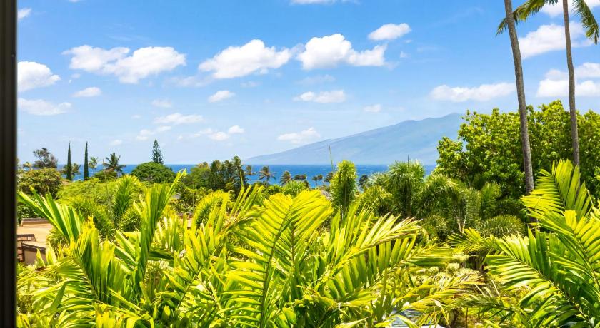 Napili Ridge photo