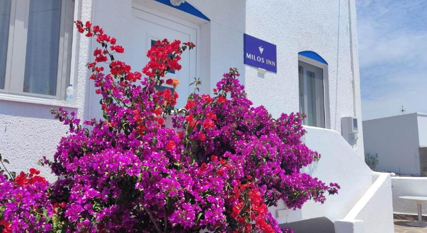 Milos Inn photo