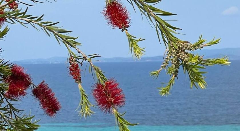 Seaview dreams photo