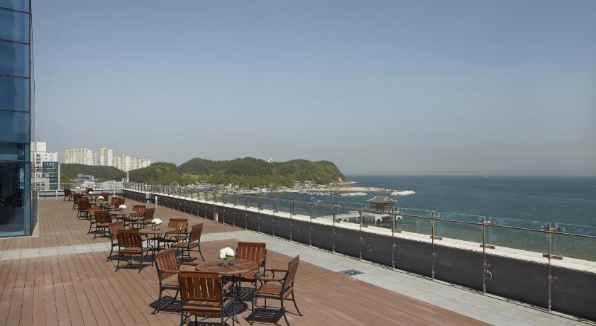 浦项 Lahan Hotel Pohang 3星级 酒店 餐厅
