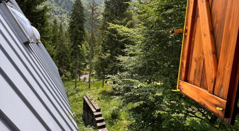 ~Chalet_Rifugio tra i boschi~