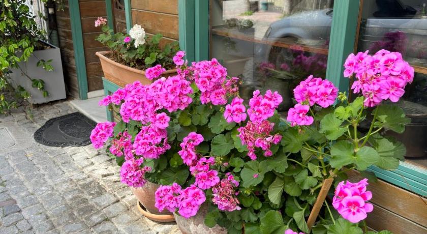 Terrace Guesthouse photo
