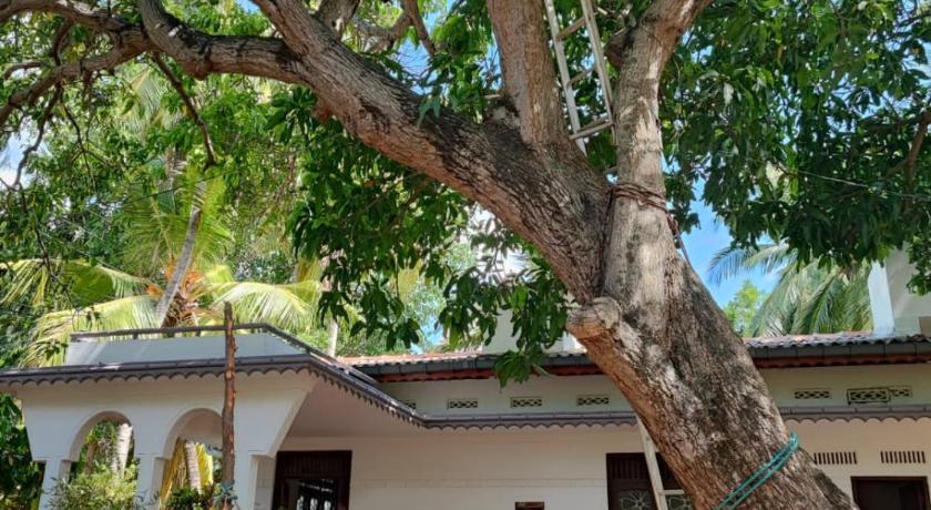 The White House — Hotel in Trincomalee