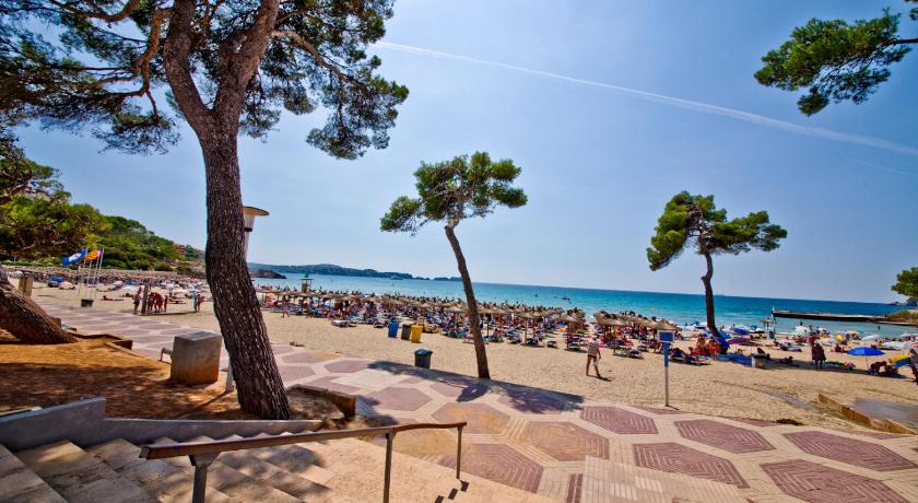 Hotel Playas de Paguera photo
