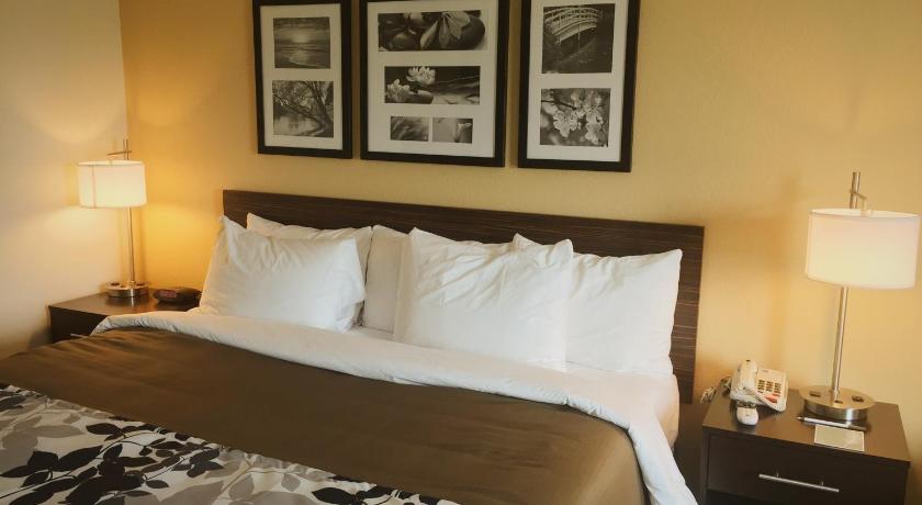 Sleep Inn and Suites Carlsbad