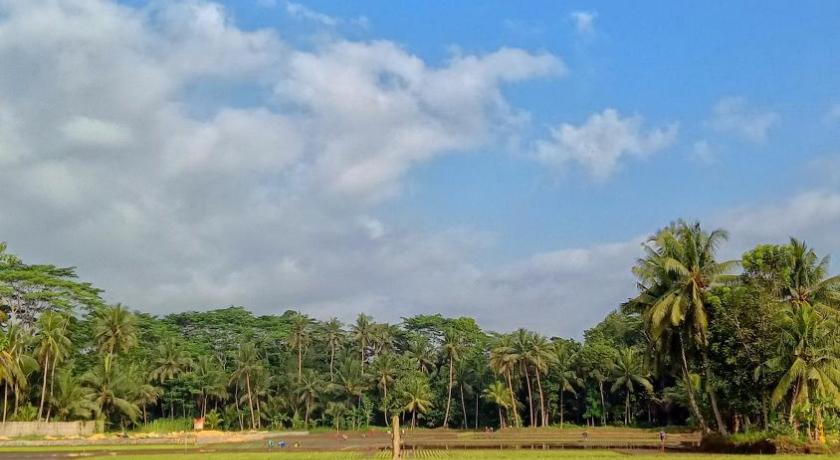 Susan Homestay photo