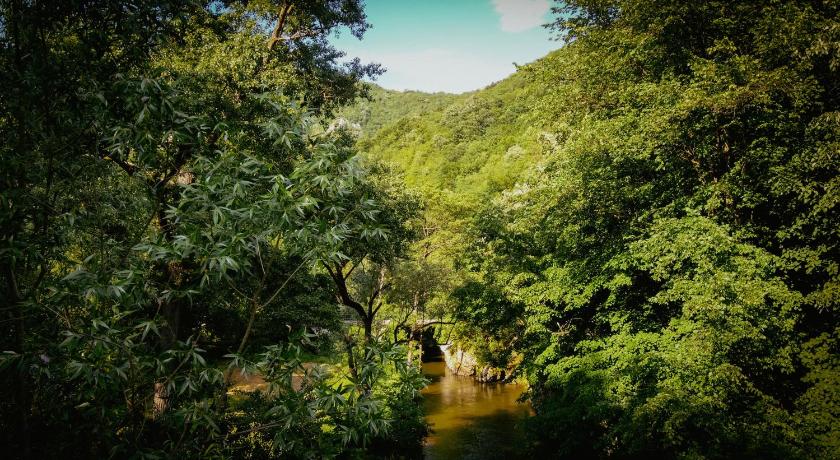 Restoran sa prenocistem Gornjak photo