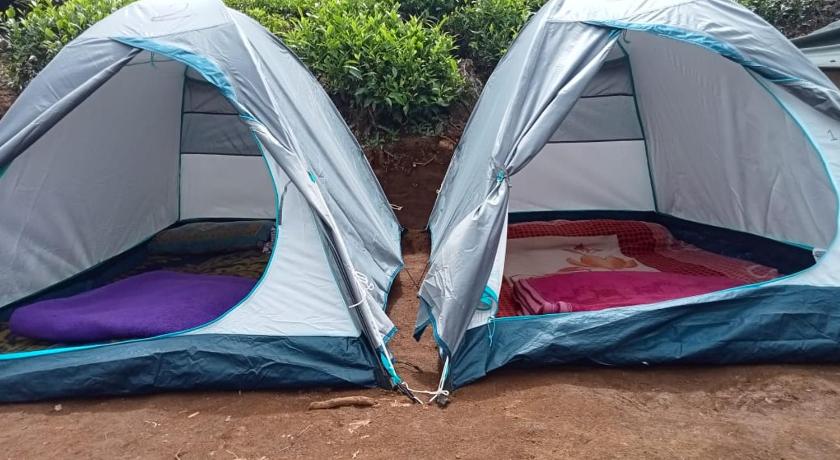 Janardan Tea Campsite Ooty photo
