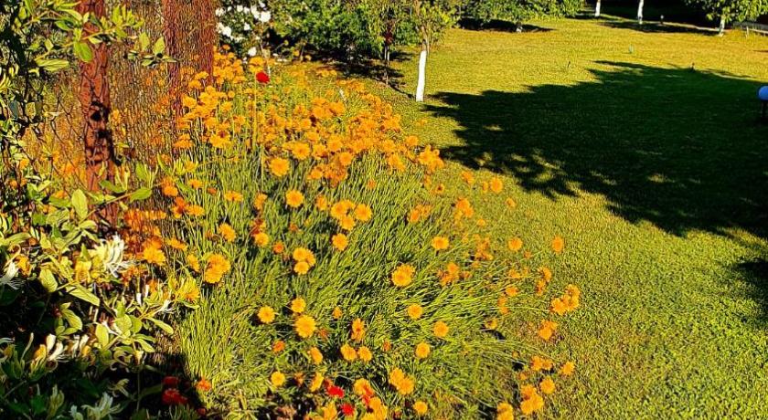 Flora Pansiyon Cıralı photo