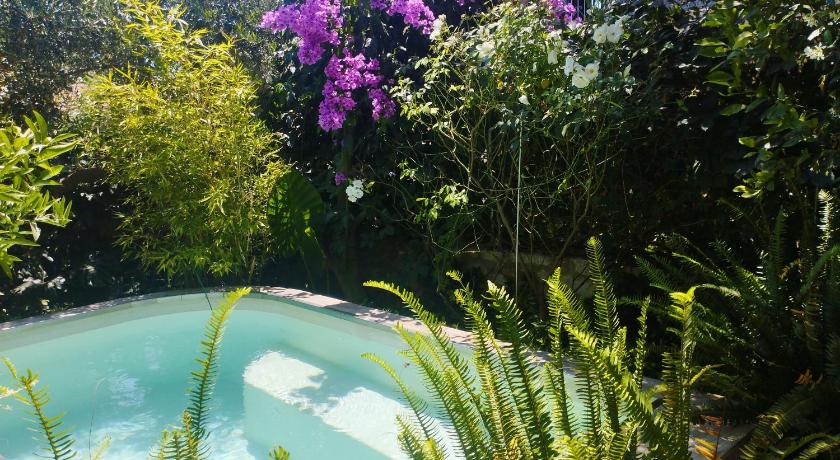 Mediterranean Olive Lemon-Alternative Pool & Garden photo