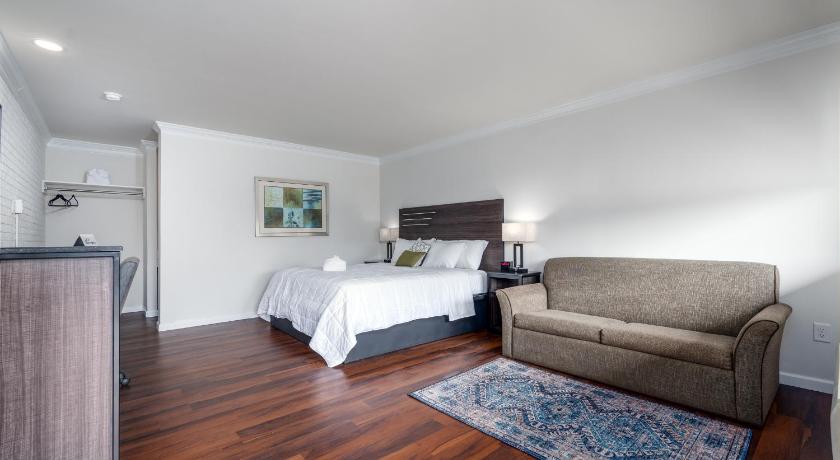 Crewe Boutique Inn photo
