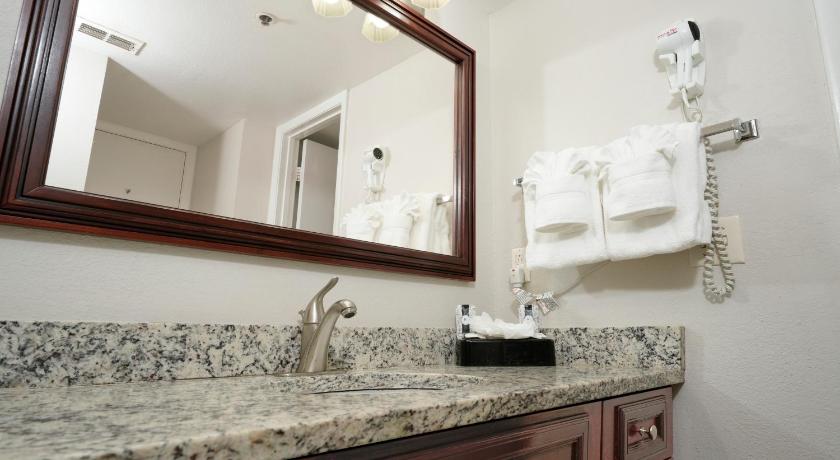 Image of Deluxe One-Bedroom Family Suite 2
