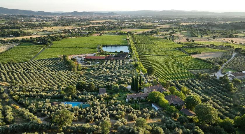 Il Palazzo - Agriturismo, Winery photo