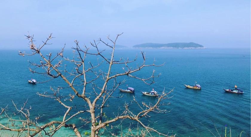 The Linh Hoi An photo