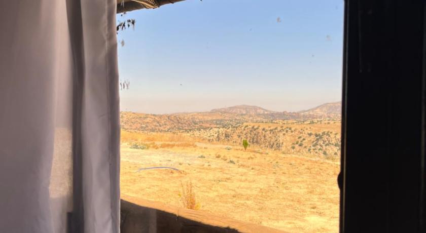Image of Tent 4