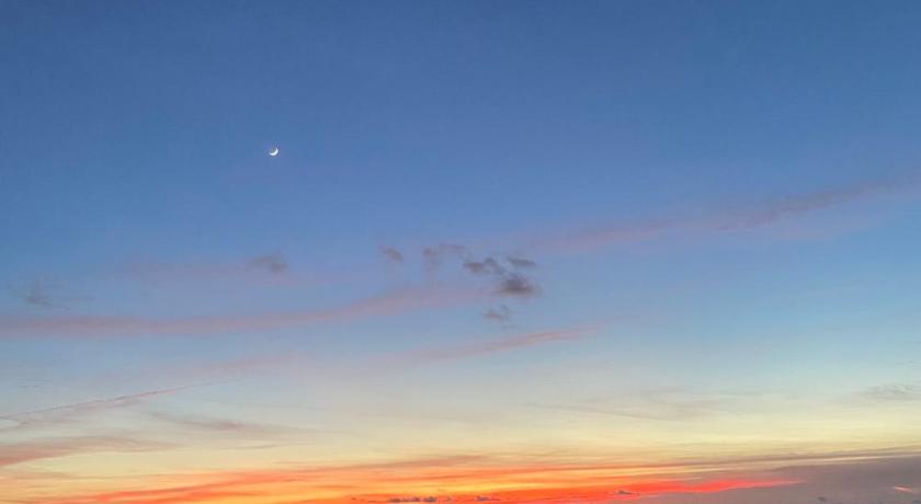 冲绳岛 Sun Sea GuestHouse 3星级 单人房 泳池