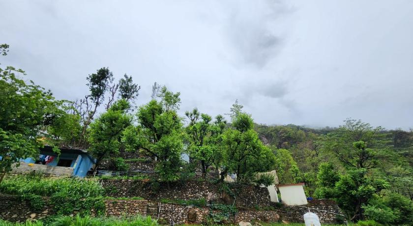 Nature Villa photo