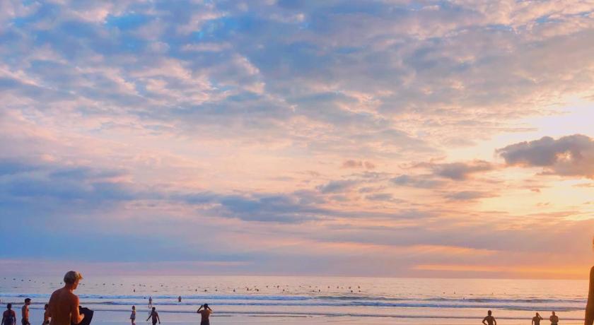Cabinas Playa Surf Hostel photo