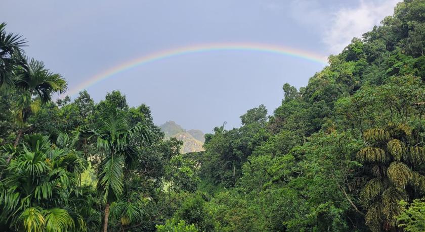 River Splendour Home Stay photo