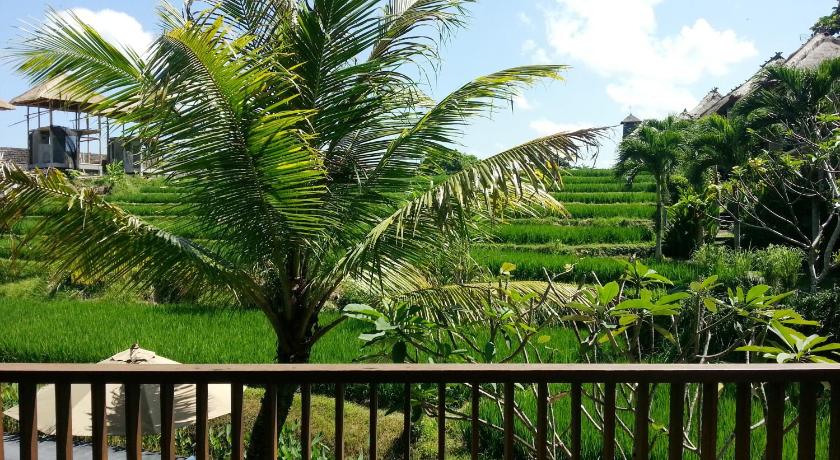 療養套餐- 泳池景豪華雙人間 (Retreat Package - Deluxe Double Room with Pool View)的照片 6