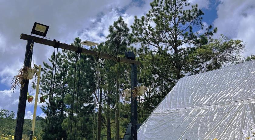 The Backyard Glamping Cameron Highlands - image 42