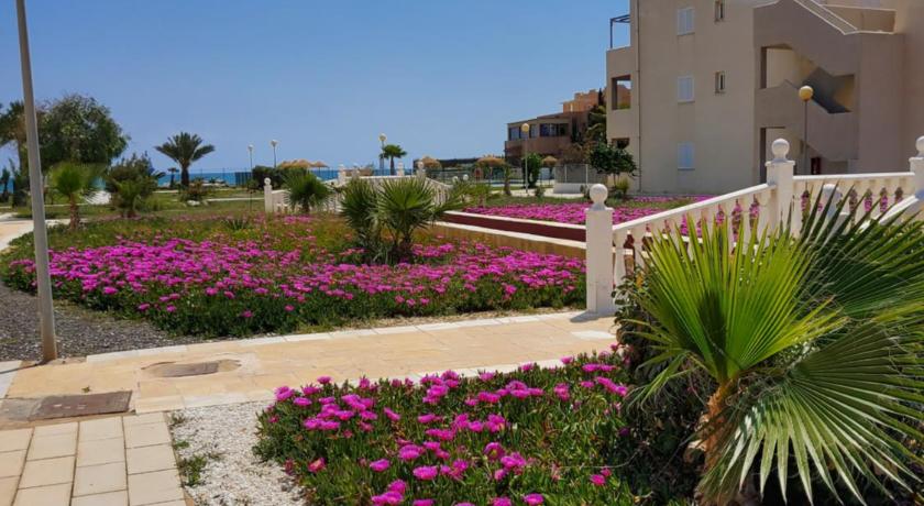 Casa baja naturista con palmeras y patio!