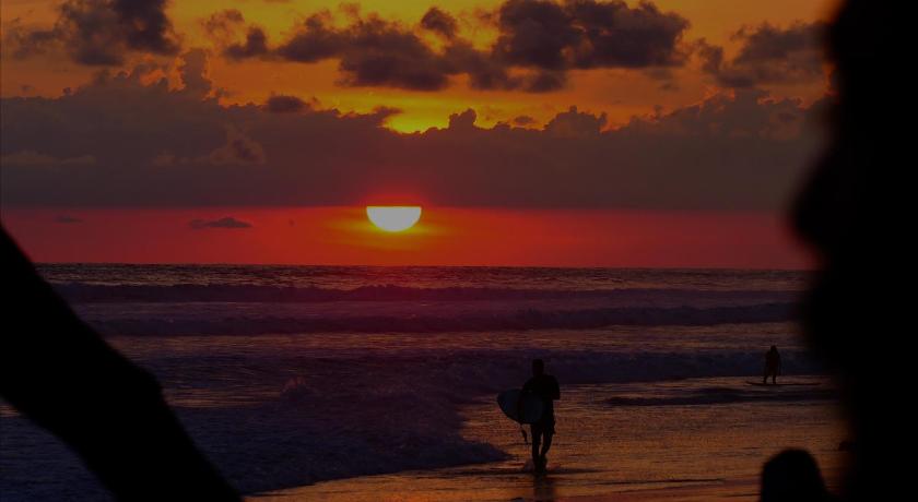 Cabinas Playa Surf Hostel photo