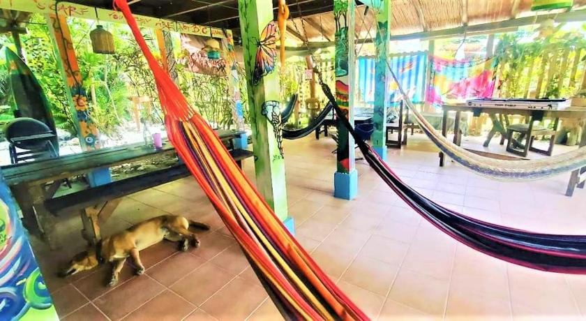 Hostel Las Mariposas — Hotel in Samara