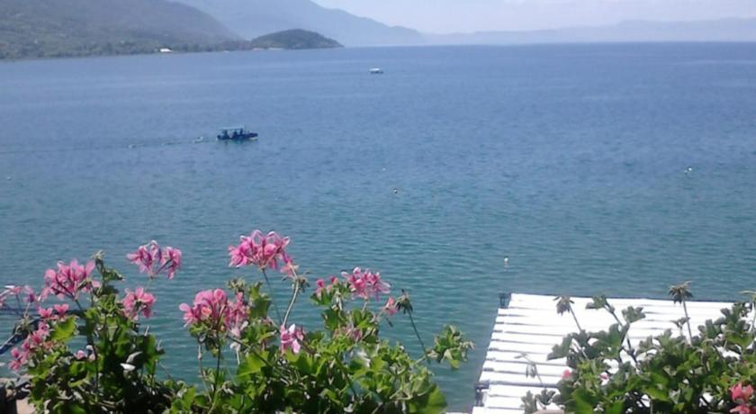 Orhidea House photo