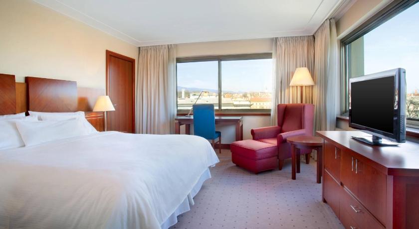Image of Deluxe King Non Smoking, Guest room, 1 King, City view 0