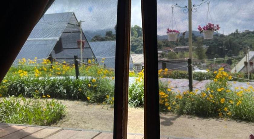 The Backyard Glamping Cameron Highlands - image 5