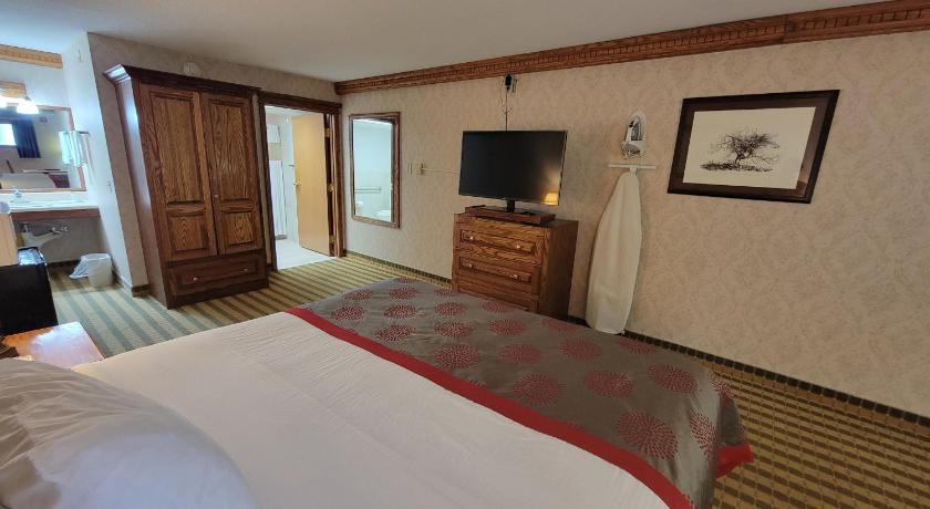 Ramada by Wyndham Saginaw Hotel & Suites photo