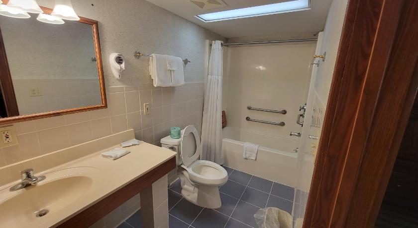 Ramada by Wyndham Saginaw Hotel & Suites photo