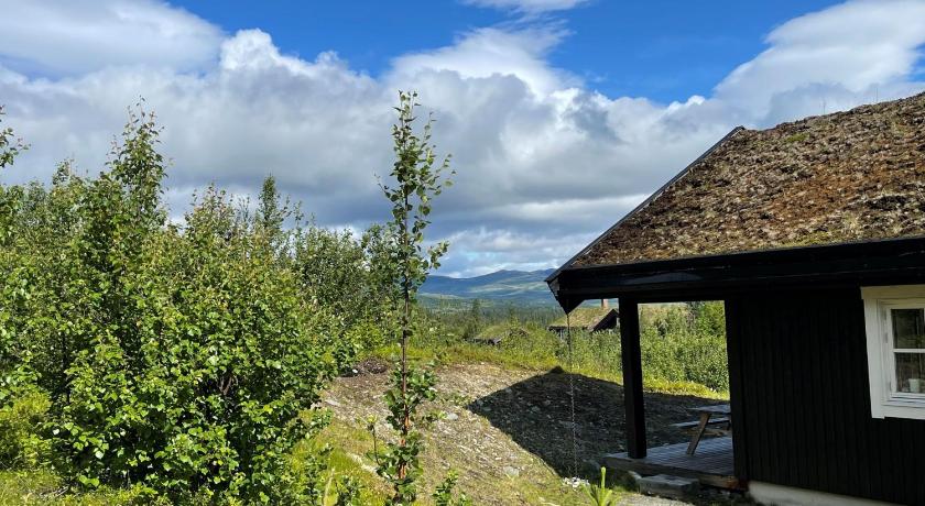Linnaeus - 6 person cabin — Hotel in Ål