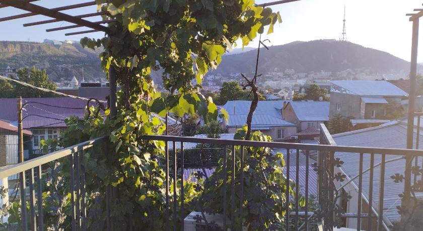 Tiflisi Hostel photo