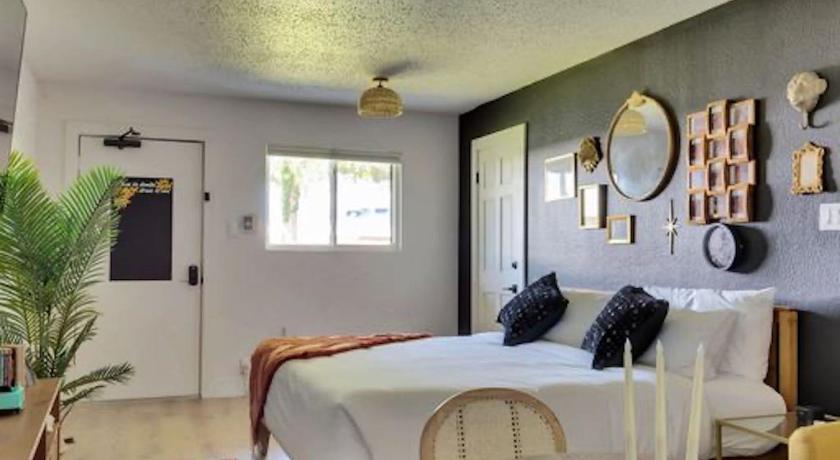 컬리지 스테이션 (TX) Hotel McCoy College Station - Art, Libations, Pool Society 3성급 숙소 수영장