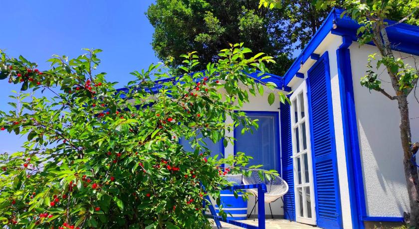 Villa Forest Paradise photo